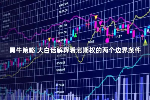 黑牛策略 大白话解释看涨期权的两个边界条件