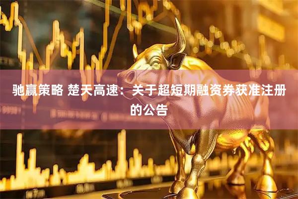 驰赢策略 楚天高速：关于超短期融资券获准注册的公告