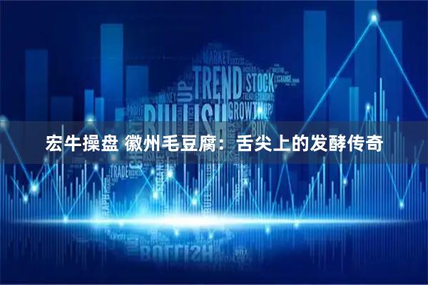 宏牛操盘 徽州毛豆腐：舌尖上的发酵传奇
