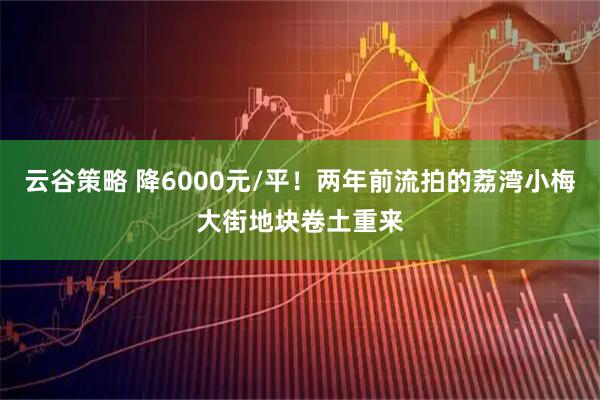 云谷策略 降6000元/平！两年前流拍的荔湾小梅大街地块卷土重来