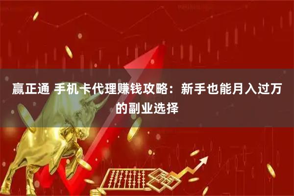 赢正通 手机卡代理赚钱攻略：新手也能月入过万的副业选择
